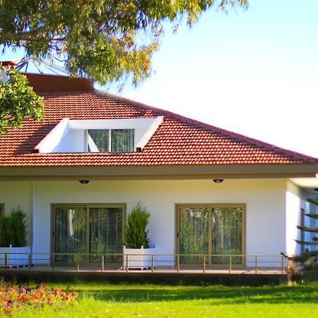 Palm Bay