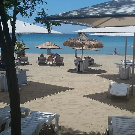 Palm Bay Hotell